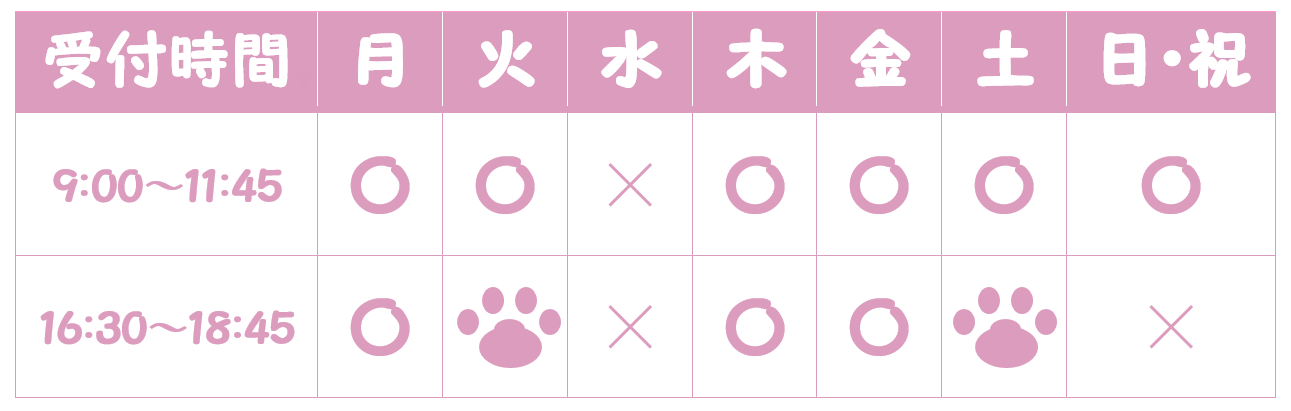 クオール動物病院の診療案内 姫路 ｃｔ